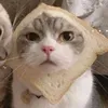 pawjob5
