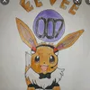 eevee007king