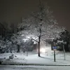 hekmat11122