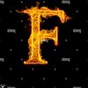 flowerlogo0