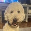 marleymom1234