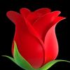 gusel.kiz