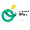 Município Figueiró dos Vinhos