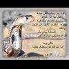 user56708131171745