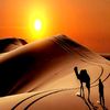 abu.mohammed.24
