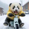 huangaline