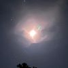 thelikhon2