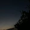 willemscastro667