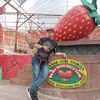 syazwan_zulkefli