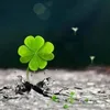 nanniee_07