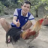 anhhai7276