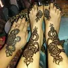 monira.atijani