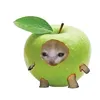 4pplemeomeo