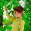 alihamzataswar
