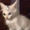 melymiau3