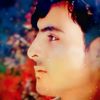 qudratullah126