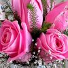 sajjad_aa_10
