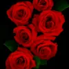 user678171312104