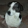 mitkoo_5