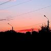 vova4534029494434