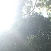 leviofckkj