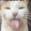 imthatlittlefella