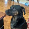 logan_hall09