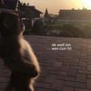 kellywells_