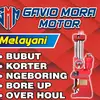 gavio.mora.motor