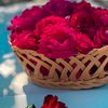 mehwish.khan970