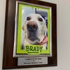 McGrath Veterinary Center