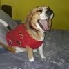 christian_odonto_2893