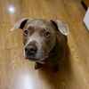 boopthesnoot27