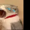 minhphm85