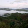ronaldcam3