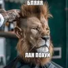 zabesko984