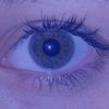 star_jostar1