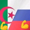 hakimhammeche793