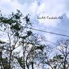 fzn_alhafiz