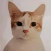 knt_delta