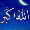 user51326029552075