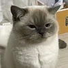 beoiudoii