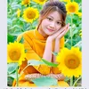 phm.th.hin26