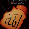 tasleemkhan2281