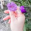 fatma.khaled817