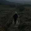 _andrew229
