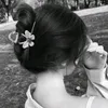 8ir.ri