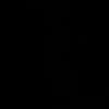 nz7.v