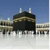 msaidani72