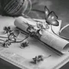rawaa0790rawaa